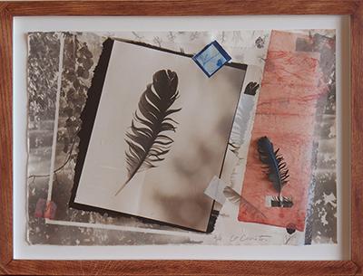 “Feather II,” a collage with a handmade frame by Koichiro Kurita, is from a series the photographer started this year.