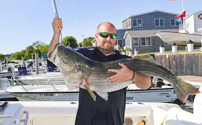 Brendan Fennel landed a 42-pound striper at the South Ferry slip on North Haven on a live bunker this week.