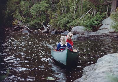 Above, William Wegman’s film “The Hardly Boys in Hardly Gold” stars his weimaraners dressed up for a sleuthing adventure. Below, in “Harvey and Harmony,” a poodle totes a monogrammed suitcase.