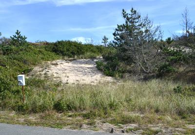 The owner of the final undeveloped beachfront property on Shore Road is awaiting a decision from the East Hampton Town Zoning Board of Appeals on a permit for a house on the dune.