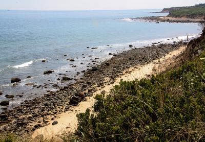 The large rocks deposited in this area when it was formed by a glacier some 25,000 years ago fall out of the Montauk bluffs as they recede, ending up on the beach and, as sea level rises, in the water.