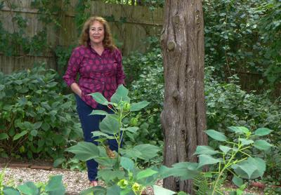 Denise Gale’s studio opens onto her garden, which offers a tranquil escape from the chaos of her works-in-progress.