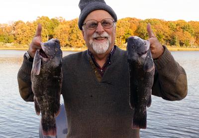 William Feigelman caught these blackfish around Valiant Rock last Thursday.