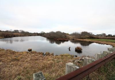 The East Hampton Town Trustees are taking a skeptical view of the Maidstone Club’s proposal to construct a bridge that would span a narrow section of Hook Pond in East Hampton.