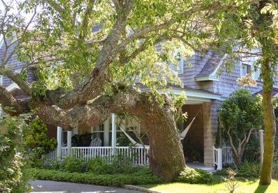 Grey Gardens, which is on the market for just under $18 million, is being rented this summer by American Express, whose plans for the property have already run up against East Hampton Village regulations.