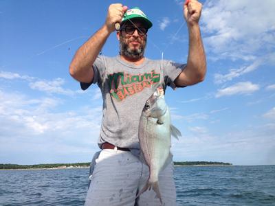 It’s a keeper! Eric Firestone hoisted this insanely large porgy from Gardiner’s Bay yesterday morning.