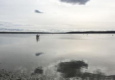 Distant scallopers searched the waters of Three Mile Harbor on Sunday. The East Hampton Town Trustees broke with tradition this year to allow a recreational harvest a day before the commercial boats began work.