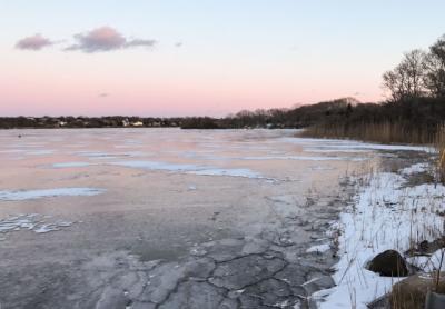 Almost all of the South Fork’s freshwater bodies, including the large ones like Fort Pond in Montauk, are frozen this week.