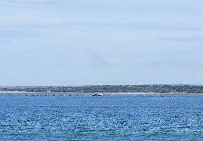 Distant oyster cages in Gardiner's Bay off Amagansett have prompted a lawsuit by the Devon Yacht Club claiming that officials acted improperly in granting a series of aquaculture leases last year.