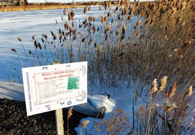 The Sagaponack Village Board will be keeping track of how upgraded septic systems function in East Hampton and Southampton and whether such systems can help protect water quality at places like Sagg Pond.