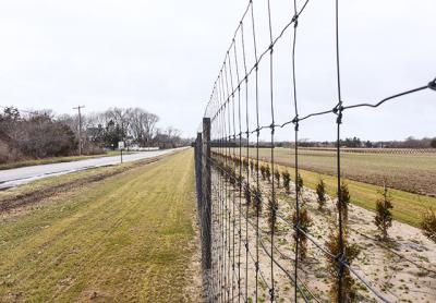 Complaints about deer fences, such as one recently installed on Town Line Road in Wainscott, and changes to the way permit requests for them are handled, dominated discussion at an East Hampton Town Board meeting last Thursday.