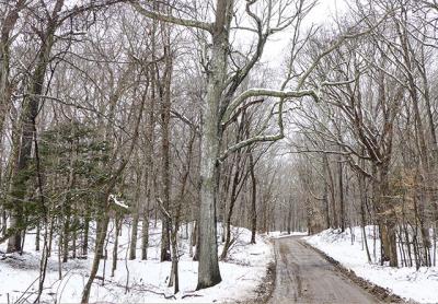 Stony Hill Road, Amagansett, in the heart of an area that some believe should receive greater protection to assure clean groundwater supplies.