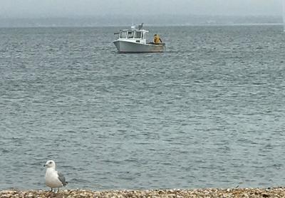 A boat on Noyac Bay took advantage of the last day of the local scallop season on Saturday.