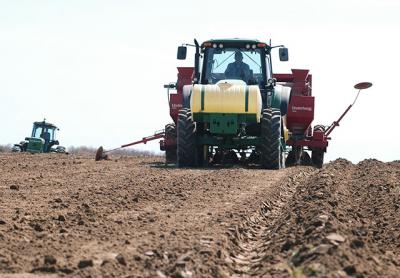 When The Star’s nature columnist was growing up in Southold in the 1940s, tractors in the fields, like these at Wesnofske Farms in Bridgehampton, meant it was time to start working on the home garden.