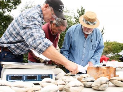 John Aldred of the East Hampton Town Trustees, center, with Charlie Niggles and Terry O’Riordan, weighed the  contestants in the trustees’ Largest Clam Contest on Sunday.