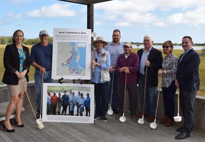 Suffolk County Legislator Bridget Fleming, left, with county, East Hampton Town, and Nature Conservancy officials celebrated a trial program that saw a large reduction in the use of methoprene to control mosquitoes at Accabonac Harbor.