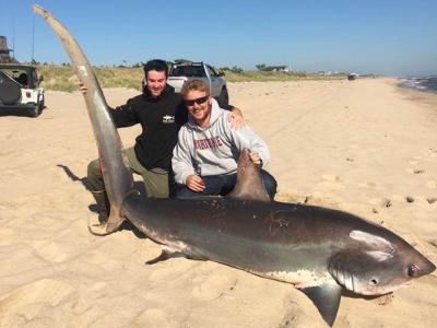 Joe McDonald, left, and Phillip Schnell caught a 469-pound thresher shark from the ocean beach in Montauk. “It was a surreal experience,” McDonald said.