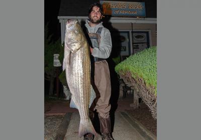Nick Apostolides of Montauk landed this 41-pound striped bass to take over the lead in the Montauk Locals Surfcasting Striped Bass Tournament