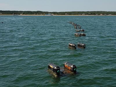 The floating cages used to grow oysters in Gardiner’s Bay in Amagansett are an eyesore and a navigational hazard, some people complained at a hearing last week on the Suffolk County Aquaculture Lease Program.