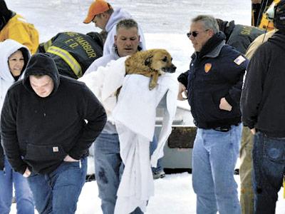 Members of the Sag Harbor Fire Department helped rescue a dog that fell through the ice in Noyac Bay on Saturday.