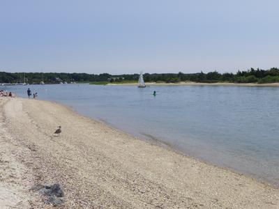 Three Mile Harbor, East Hampton, where a 45-year-old man reportedly collapsed on Sunday afternoon.