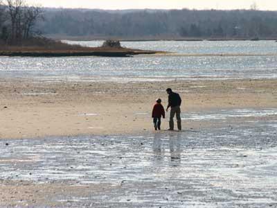 The State Department of Environmental Conservation has reclassified 14 acres of Accabonac Harbor, closing it to shellfishing from May 1 through Nov. 30.