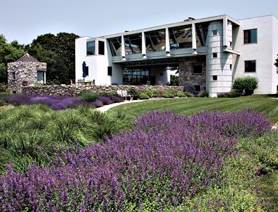 The house, designed by J. Robert Barnes, is at the base of the dunes. Catmint and lavender fill the transition between it and the meadow.