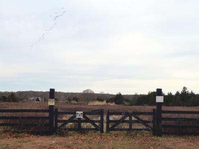 A mixed-use housing development being planned for a site on Montauk Highway in Amagansett has raised concerns about potential traffic and businesses there in addition to the proposed 38 apartments.