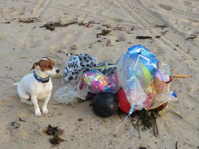 A pile of garbage, including mylar balloons, is not a rare sight on East Hampton Town beaches.