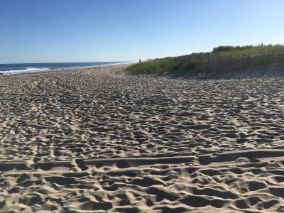 Beachgoers pulled a woman's body from the ocean off Beach Lane in Wainscott Saturday afternoon.