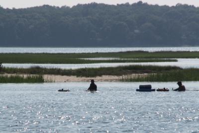 Clamming at Maidstone