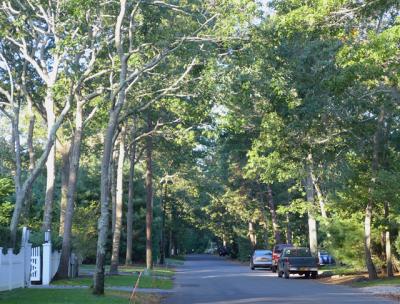 Cowhill Lane in Wainscott is part of an area in which tests of home drinking water wells have been recommended to check for traces of a potentially harmful industrial chemical.