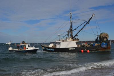 Commercial fishing vessel refloated after running aground in Hauraki Gulf