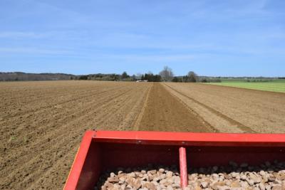 The planting of potatoes, an annual rite of spring on the East End that Larry Penny recalls from his youth on the North Fork, continues today, albeit on a smaller scale. Above, the Wesnosfske fields in Bridgehampton during planting time in April 2016.