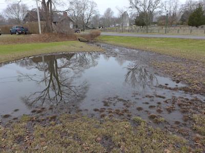 A man-made swale behind the East Hampton Methodist Church had an elevated bacteria level in a January water test by Concerned Citizens of Montauk.