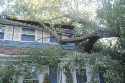 A large tree fell into this house on Dayton Lane in East Hampton Village.