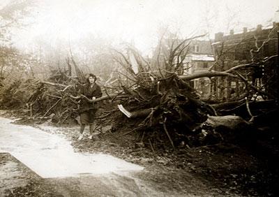 East Hampton's Main Street lost 164 trees during the 1938 Hurricane as houses, vehicles, and other property sustained heavy damage.