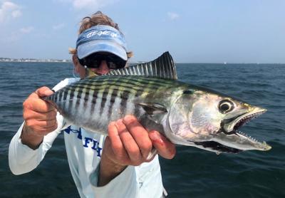 John Tondra caught and released this Atlantic bonito near Montauk with Capt. Paul Dixon of Off the Point Charters.