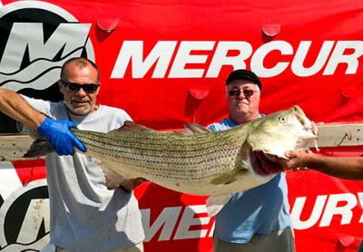 Ray Sperling of Sag Harbor, at right, needed help holding the 49.95-pound striped bass he caught on the charter boat Breakaway on Saturday during the Montauk Grand Slam Fishing Tournament. It was the largest bass landed in the history of the event.