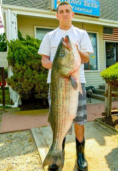 Nick Bocchino has taken over first place in the Montauk Surfmasters Spring Shootout striped bass tournament with this 43.5-pound striped bass.