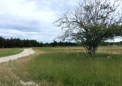 A proposal to hold an East Hampton Library benefit on preserved town land in Amagansett has not been warmly welcomed by some of the hamlet's representatives.