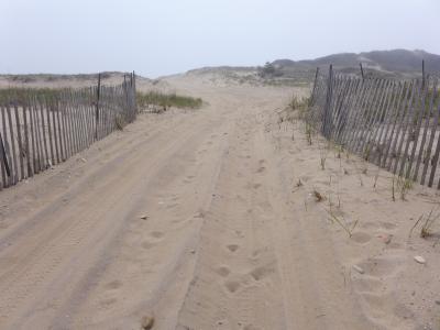 A Deepwater Wind official confirmed that the company will seek to land the South Fork Wind Farm's transmission cable at a site in Hither Hills and withdraw the offer of a community benefits package if the town and trustees do not grant easements to land the cable at the ocean beach in Wainscott.