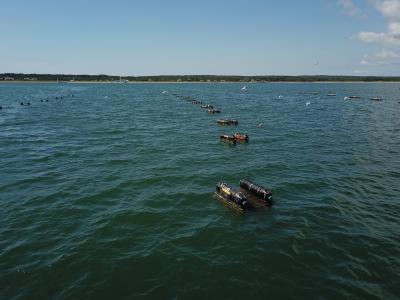 Oyster boxes in Gardiner’s Bay