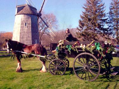 Bubba’s days of appearing around East Hampton Town are over. The Clydesdale, here with his owner, Mary Lou Kaler, died late last month.