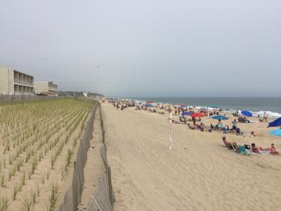 Local officials expected the sandbags, which are covered with three feet of sand, would be removed and the beach fully restored.