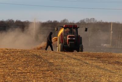 Straw was being laid on the field north of Amagansett's business district on Tuesday afternoon with the aid of a bale-shredding machine lent by Alex Balsam of Balsam Farms.