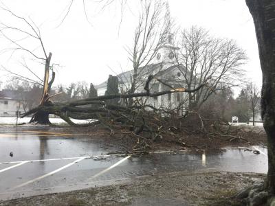 A large tree near the East Hampton Presbyterian Church fell across Main Street as heavy rain and strong winds blew on the East End.