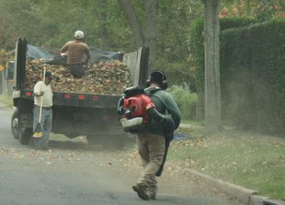 Powerful, but loud, leaf blowers have become an essential part of landscapers' equipment. The East Hampton Village Board has talked about limiting them in some way, after years of complaints from residents.