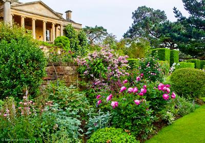 The Caplan Rose Cotswolds tour will visit Kiftsgate Court Gardens, whose centenary is being celebrated with a new book on its rich history and an exhibition at London’s Garden Museum.