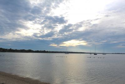 Bacteria were not found at all on the harbor-side of Lake Montauk in 2017, but were found in large quantities on the inland side.